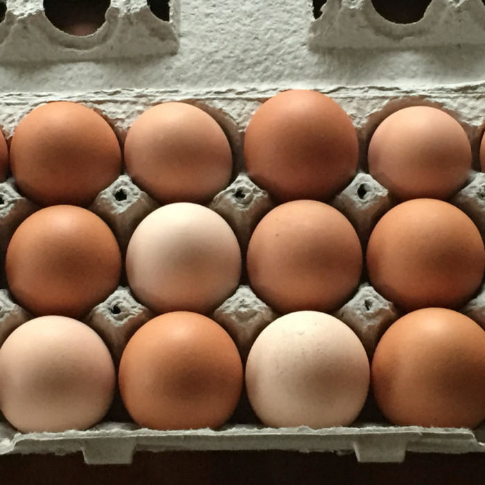 Free Range Eggs