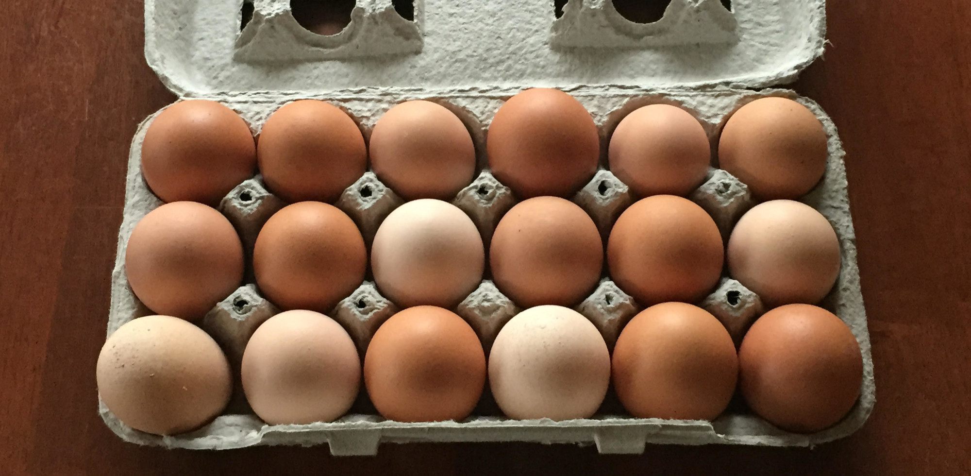 free-range-eggs-2